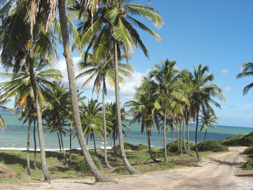 Brasil - Tibau do Sul (Byggy Tour)
